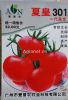 供应夏皇301番茄—番茄种子