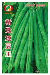 供应精选地豆王—菜豆种子