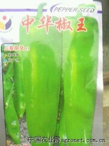供应中华椒王—辣椒种子