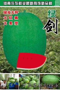 供应绿剑—西瓜种子