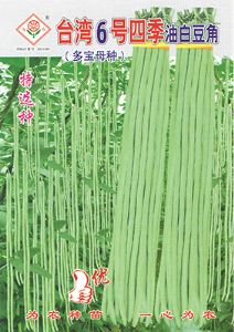 供应台湾6号四季油白豆角—豇豆种子