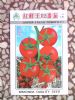 供应红鲜王12番茄—番茄种子