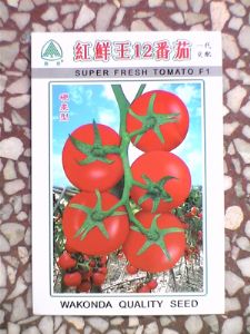 供应红鲜王12番茄—番茄种子