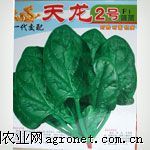 供应天龙2号——菠菜种子
