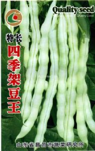 供应特长四季架豆王—菜豆种子
