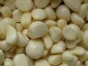 供应蒜米 蒜米原料