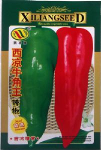 供应西凉牛角王—辣椒种子
