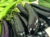 供应大量新鲜绿色无污染绿皮茄子紫茄子