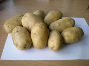 供应优质滕州土豆