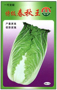供应特级春秋王—白菜种子