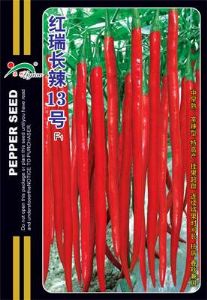 供应红瑞长辣13号——线椒种子