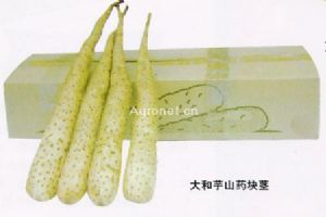 供应日本大和芋－山药种子