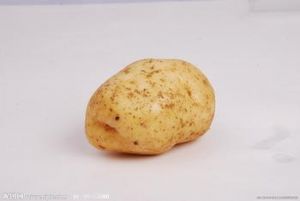 供应土豆，马铃薯