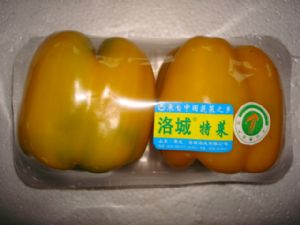 供应黄彩椒—优质蔬菜