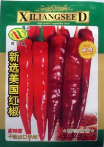 供应新选美国红椒—辣椒种子