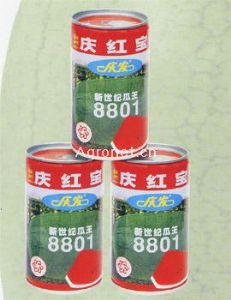 庆红宝-新世纪瓜王8801——西瓜种子