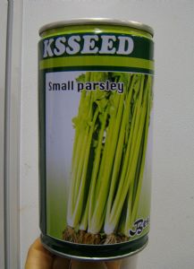 供应small parsley-芹菜种子