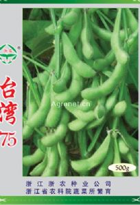 供应台湾75-菜豆种子