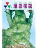 供应温州榨菜—芥菜种子