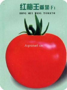 红梅王番茄—番茄种子