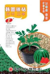 供应韩国铁砧——砧木种子