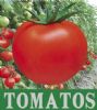 旺拉番茄F1-番茄种子