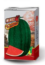供应黄河巨龙—西瓜种子