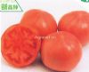 美福——番茄种子