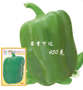 供应双抗王6号—甜椒种子