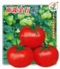 南蔬金石8283——番茄种子