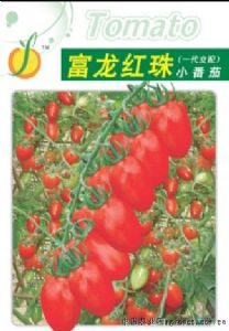 供应富龙红珠——番茄品种