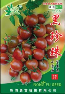 供应农富黑珍珠小番茄—番茄种子