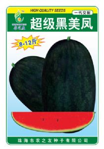 供应超级黑美凤—西瓜种子