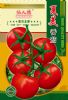 供应夏美番茄—番茄种子