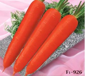 金红F1-胡萝卜种子