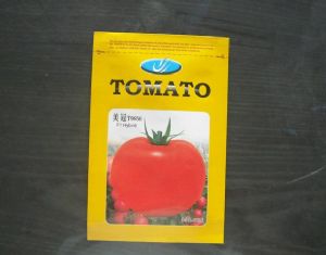 供应进口大红番茄种—美冠
