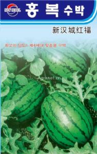 供应新汉城红福－西瓜种子