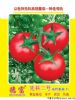 供应先科二号高档番茄—番茄种子