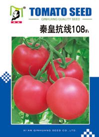供应秦皇抗线108—番茄种子