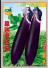 供应早熟紫长茄-茄子种子