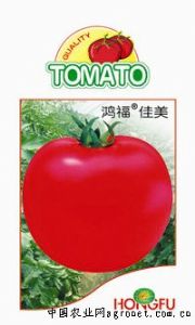供应鸿福佳美-番茄种子