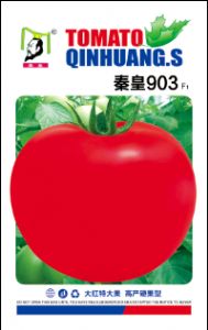 供应秦皇903—番茄种子