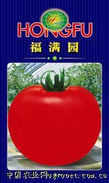 供应福满园-番茄种子