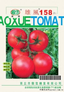 供应雄风158F1—番茄种子
