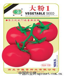 供应大粉一号—番茄种子
