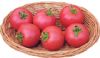 供应魁冠B139—番茄种子