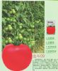 供应北斗09—番茄种子