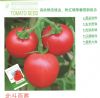供应北斗百胜—番茄种子