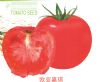 供应欧亚嘉琪—番茄种子