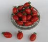 供应宝红—番茄种子